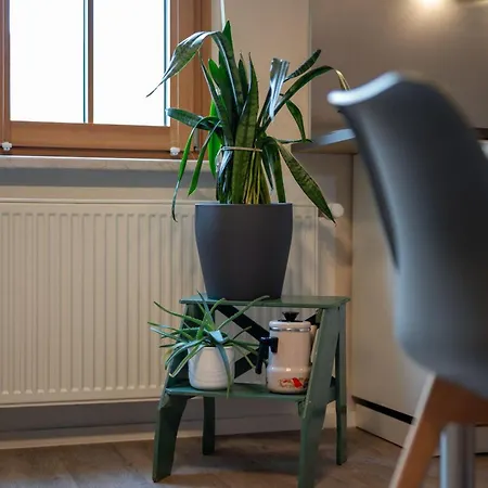 Ferienwohnung-am-hoepen