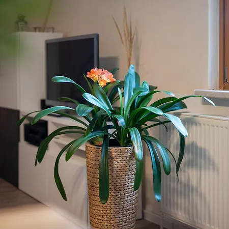 Διαμέρισμα Ferienwohnung-am-hoepen