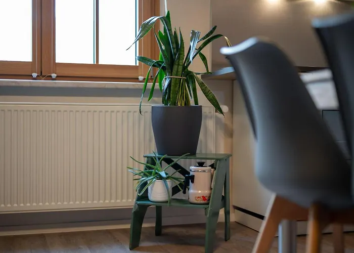 Ferienwohnung-am-hoepen