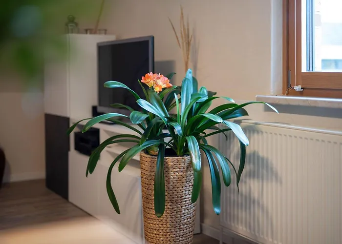 Lägenhet Ferienwohnung-am-hoepen